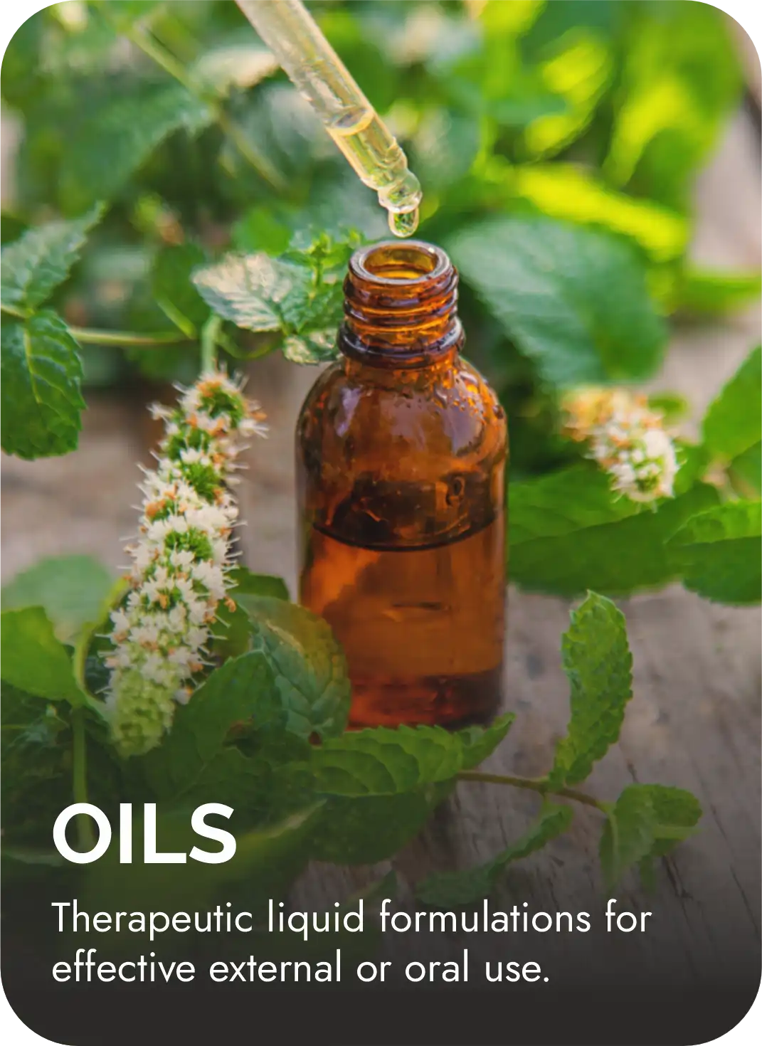 oils